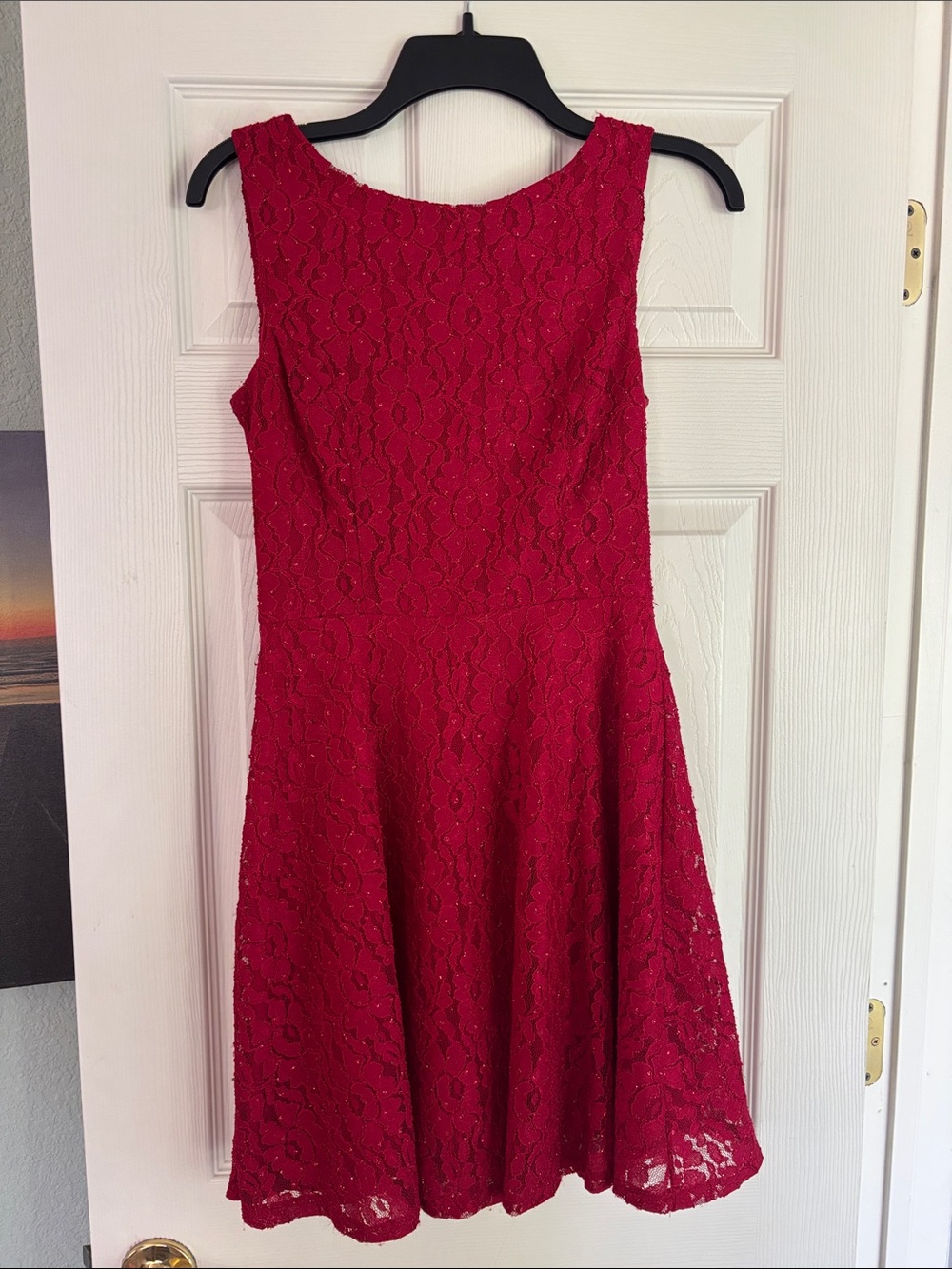 Speechless Red Lace A-Line Mini Dress